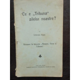 CE E TRIBUNA ZILELOR NOSTRE? - OCTAVIAN GOGA