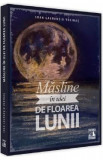 Masline in ulei de floarea lunii - Ioan Laurentiu Vedinas, 2020