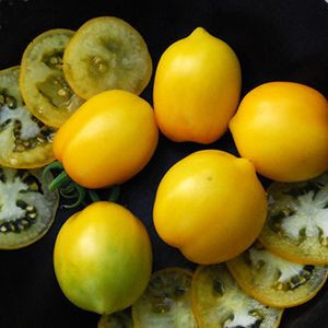 Tomate , rosii PLUM LEMON - arata ca lamaia - 10 seminte pentru semanat foto