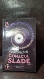 David Mitchell - Conacul Slade