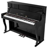 PIAN DIGITAL KRUGER&amp;MATZ