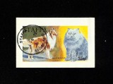 Timbru neperforat Staffa Scotland &ndash; Collie &amp; Blue Persian, C&acirc;ine și Pisică, ștampilat CTO