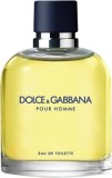 Dolce &amp; Gabbana, Pour Homme, Apă de toaletă, Pentru bărbați, 125 ml