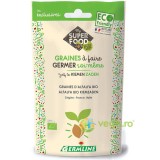 Seminte de Alfalfa pentru Germinat Ecologice/Bio 150g