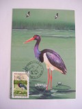 C12 - maxima Romania - tematica pasari 6 - prima zi a emisiunii sau expozitii, Romania de la 1950, Fauna