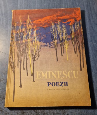 Eminescu Poezii ilustratii Jules Perahim foto