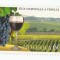 Moldova, Ziua națională a vinului, 2006, MNH