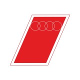 Audi F1 set abțibilduri 3 pcs logo 2026 - 2x = 12x18 cm / 1x = 3x 4,5 cm