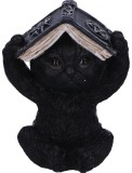 Figurina - Three Wise Spell Cats - Hear No Evil | Nemesis Now