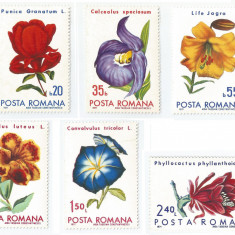 Romania, LP 767/1971, Flori din gradini botanice, MNH