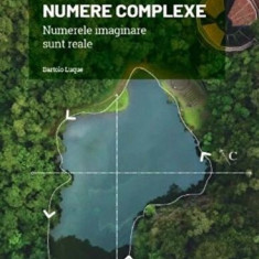 Numere complexe. Numerele imaginare sunt reale - Bartolo Luque