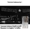 Traversare Luminoasa Carosabil LED, Iluminat Festiv Primarii, Decoratiuni Craciun Exterior, Turturi Luminosi, Bannere Luminoase, 6m