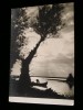 QW24 D - Carte postala - tematica turism - vedere - Delta Dunarii 13, Circulata, Fotografie, Tulcea