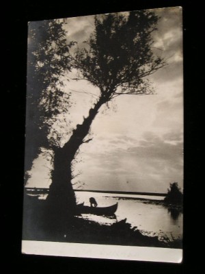 QW24 D - Carte postala - tematica turism - vedere - Delta Dunarii 13 foto