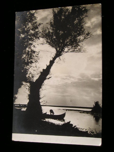 QW24 D - Carte postala - tematica turism - vedere - Delta Dunarii 13