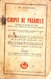 CIRIPIT DE PASARELE. CANTECE SI JOCURI DE COPII PENTRU FAMILII, GRADINI DE COPII SI SCOALELE PRIMARE VOL.1--357922