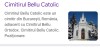 Loc de veci Bellu Catolic