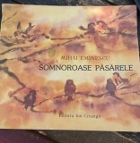 SOMNOROASE PASARELE MIHAI EMINESCU