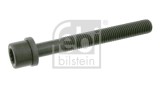FEBI BILSTEIN 06666 surub chiulasa