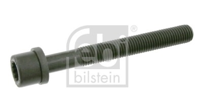 FEBI BILSTEIN 06666 surub chiulasa foto