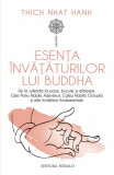 Esența &icirc;nvățăturilor lui Buddha - Paperback brosat - Thich Nhat Hanh - Herald