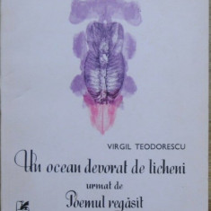 Virgil Teodorescu - Un ocean decorat de licheni. Poemul regasit princeps