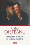 Imaginea evreului in cultura romana - Andrei Oisteanu
