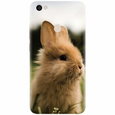 Husa silicon pentru Xiaomi Redmi Note 5A, Cute Rabbit In Grass foto