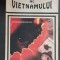 Soarele maroniu al Vietnamului - David Easterbrook