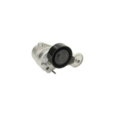 Intinzator curea VOLVO XC90 I DAYCO APV2277 foto