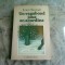 UN VAGABOND JOUE EN SOURDINE - KNUT HAMSUN (CARTE IN LIMBA FRANCEZA)