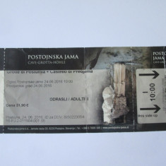 Bilet de intrare la peștera Postojna din Slovenia