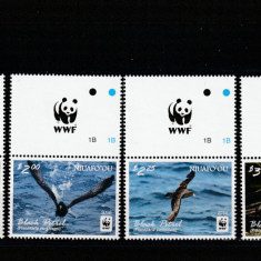 Niuafo'ou 2016-Fauna,Pasari,Petrelul negru,serie 4 val.cu vignete,MNH,Mi.607-610