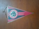 Fanion club sportiv LOKOMOTIV