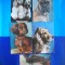 HOPCT LOT NR 1104 CAINI -5 CARTI POSTALE-NECIRCULATE