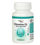 Vitamina d3 (5000ui) cu zinc si quercetina 30cpr dacia plant