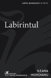 Labirintul - Adrian Lungu - Grupul Art