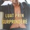 LUAT PRIN SURPRINDERE-VI KEELAND-256873