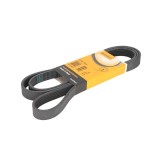 Curea Transmisie Caneluri Ford Focus 1998-2004 DAW DBW 6PK1915