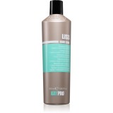 Kaypro Hair Care Liss Shampoo sampon pentru indreptarea parului pentru par indisciplinat 350 ml