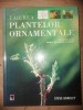 Taierea plantelor ornamentale- Steve Bradley