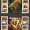 BURUNDI 2022 FAUNA REPTILE