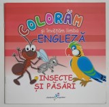 COLORAM SI INVATAM LIMBA ENGLEZA , INSECTE SI PASARI , 2016