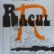 Racul - 1994 - Alexandru Ivasiuc ($F29)