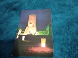 CARTE POSTALA -TARGOVISTE-TURNUL CHINDIEI NECIRCULATA