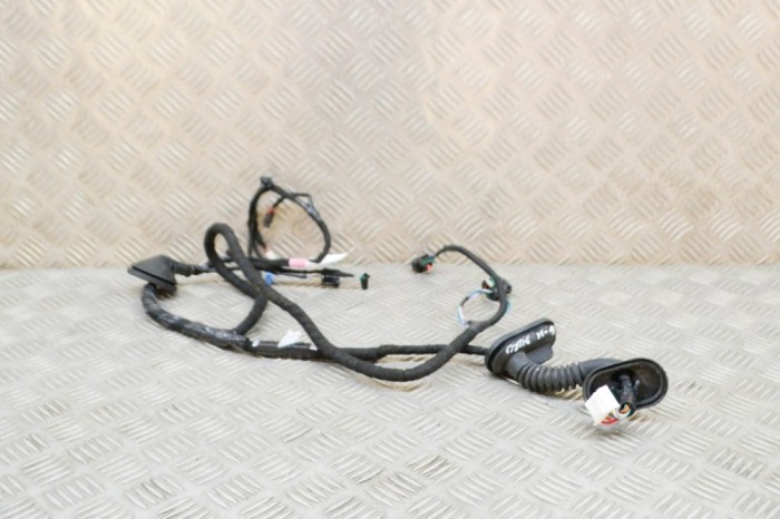 Cablaj ușă st&acirc;nga spate TESLA MODEL 3 2021 OEM: 2067965-00-B 15427729