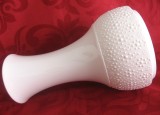 VAZA PORTELAN MAT BISCUIT THOMAS ROSENTHAL 20 CM
