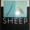 Parasites of sheep