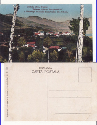 Nehoiu ( Buzau ) - Fabrica de cherestea Goetz-rara foto