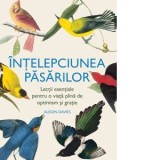 Intelepciunea pasarilor. Lectii esentiale pentru o viata plina de optimism si gratie - Alison Davies